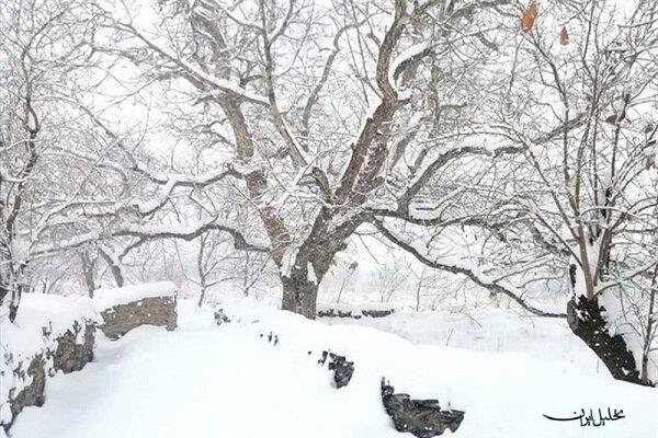  تحلیل ایران -بارش برف در ایران از زاویه دید ماهواره‌ها