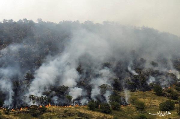  تحلیل ایران -آتش‌سوزی در ۱۰ نقطه از اراضی جنگلی گیلان خاموش شد