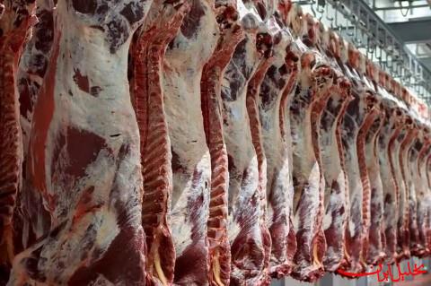  تحلیل ایران -عرضه بیش از ۳۳ تن گوشت قرمز در بهمن‌ماه امسال