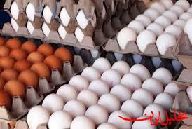  تحلیل ایران -تخم مرغ امسال کمترین نوسان قیمتی را تجربه کرد