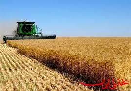  تحلیل ایران -افزایش تولید گندم در واحد سطح با مشارکت کشاورزان
