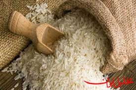  تحلیل ایران -آماده همکاری با دولت برای بازگشت آرامش به بازار برنج هستیم