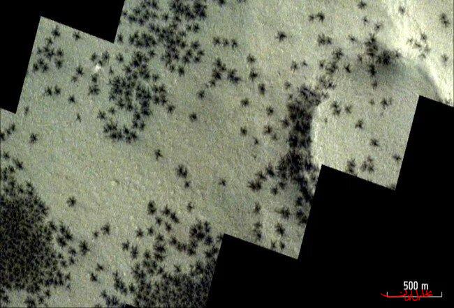  تحلیل ایران -عکاسی از انبوه عنکبوت‌ها روی مریخ