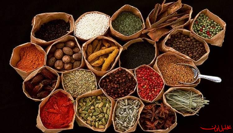  تحلیل ایران -متخصصین طب ایرانی در تهران گردهم می آیند