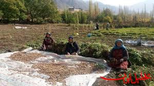  تحلیل ایران -پرداخت تسهیلات اشتغال روستایی پس از یک سال از سر گرفته می‌شود