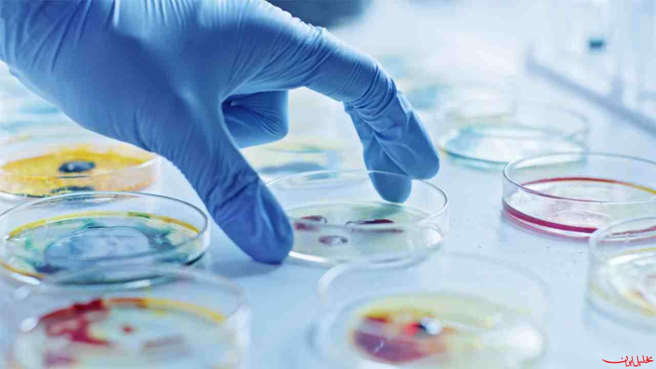  تحلیل ایران -محققان ایرانی سفیده تخم مرغ را به جوهر زیستی تبدیل کردند