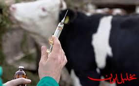  تحلیل ایران -آغاز واکسیناسیون سراسری علیه «تب برفکی» در ۱۷ استان