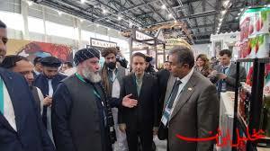  تحلیل ایران -مقام افغانستانی: تراز تجاری با ایران را به ۱۰ میلیارد دلار می‌رسانی