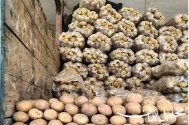  تحلیل ایران -سیب‌زمینی‌ روی دست کشاورزان گلستان ماند