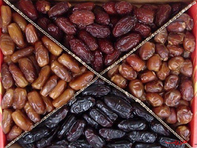  تحلیل ایران -برداشت خرما در ایرانشهر آغاز شد