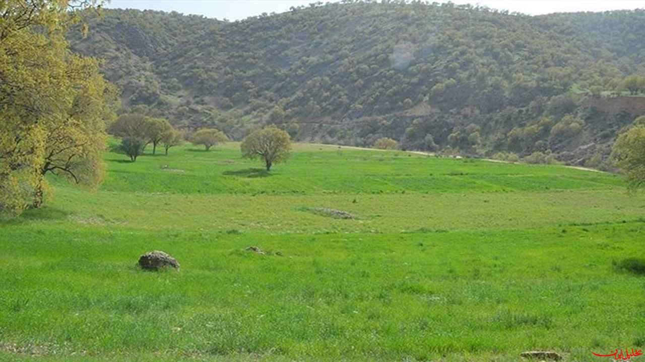  تحلیل ایران -کشف زمین خواری یک هزار میلیارد ریالی در بندرخمیر