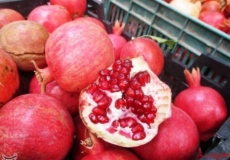  تحلیل ایران -برداشت سالانه ۷۷ هزار تن انار در انارستان‌های لرستان