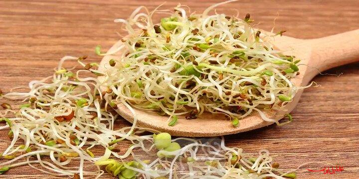  تحلیل ایران -گیاهی که جایگزین قرص‌های ویتامین است