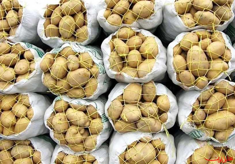  تحلیل ایران -کاهش قیمت سیب زمینی به ۲۹ هزار و ۵۰۰ تومان؛