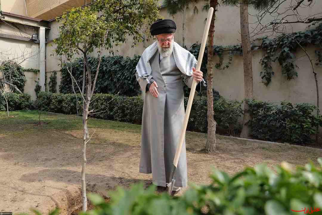  تحلیل ایران -کاشت سه اصله نهال توسط رهبر انقلاب در روز درختکاری