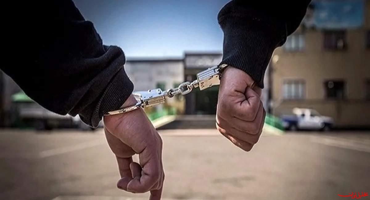  تحلیل ایران -لیدرها و محرکین هنجارشکنی در برخی اماکن تاریخی دستگیر شدند