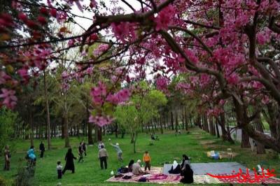 تحلیل ایران -سیزده‌بدر؛ آیینی باستانی در فرهنگ ایرانیان