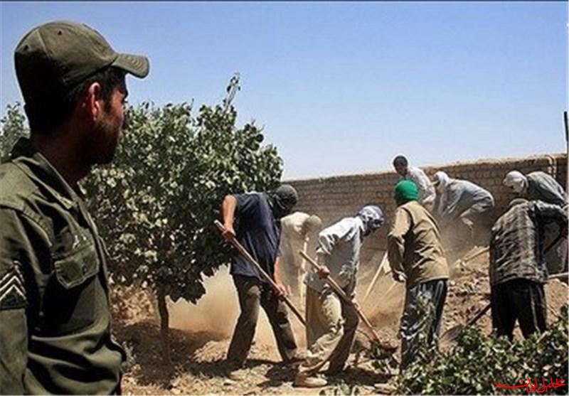 تحلیل ایران -جزئیات جدید از سقوط ۸ نفر به چاه در کوهدشت/ ۷ نفر فوت شدند