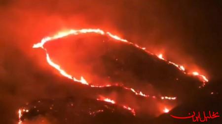  تحلیل ایران -جنگل‌های غرب عربستان در محاصره آتش