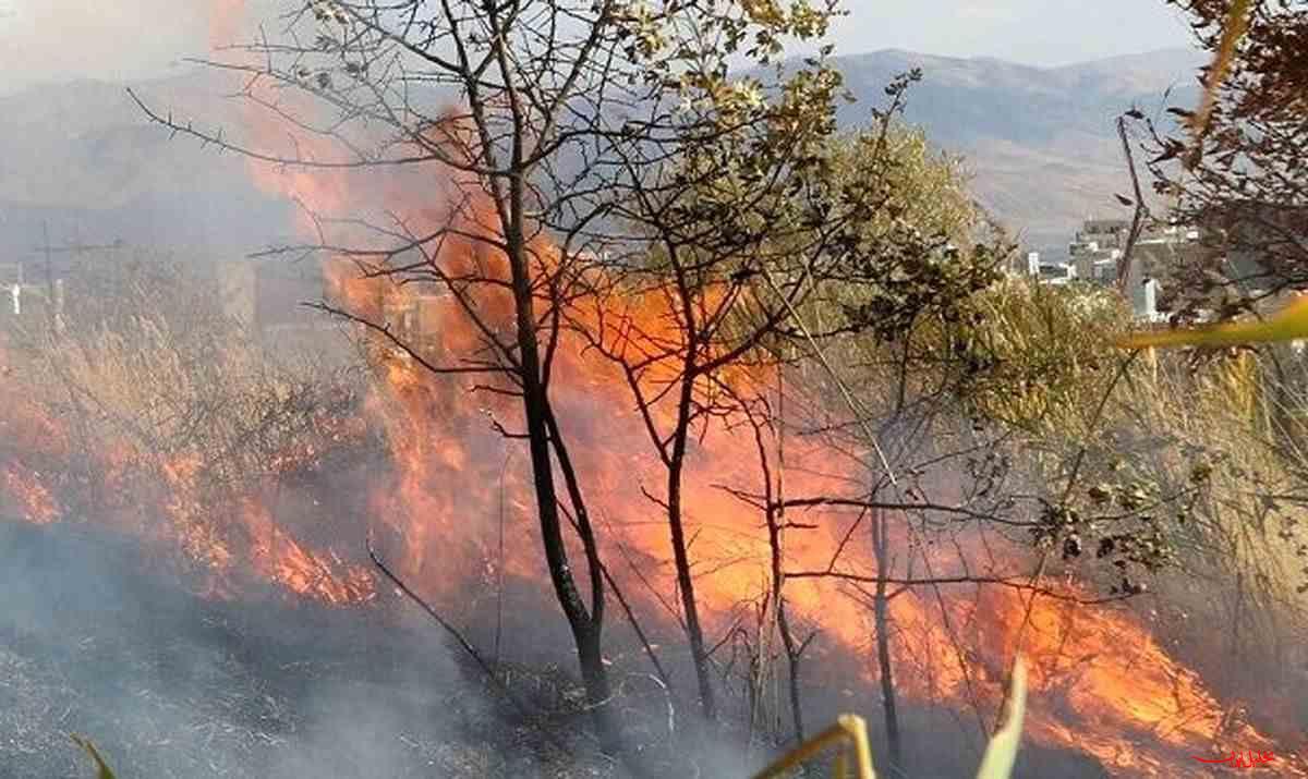  تحلیل ایران -۸۰ هکتار از اراضی پارک ملی گلستان طعمه حریق شد