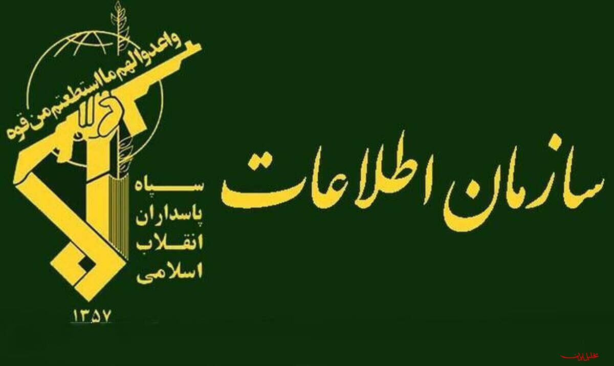  تحلیل ایران -تیم فعال در زمینه ریزپرنده‌ها در چهارمحال و بختیاری شناسایی و بازدا