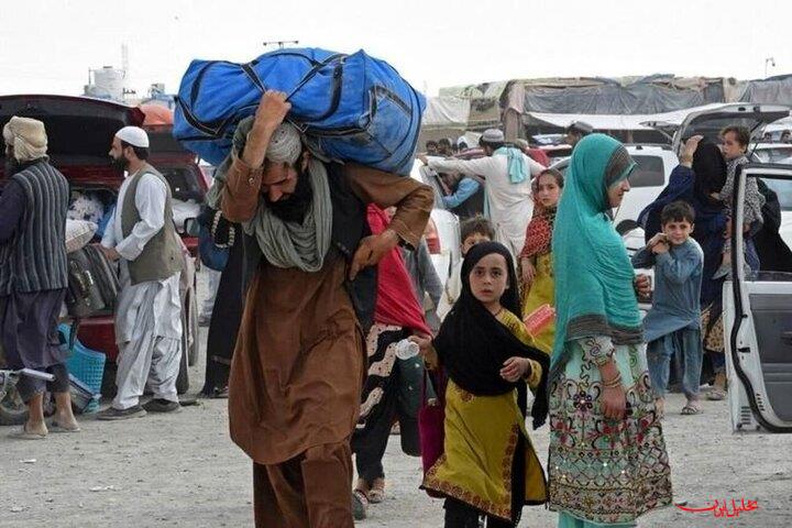  تحلیل ایران -هشدار مسئولان قضایی درباره تبعات حقوقی حضور اتباع غیرمجاز در ایران