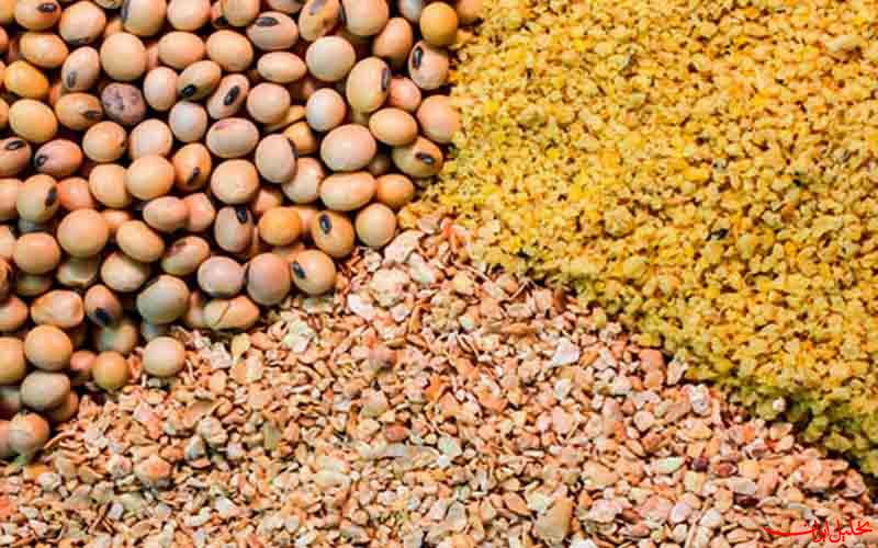  تحلیل ایران -اولتیماتوم وزارت جهاد به واردکنندگان