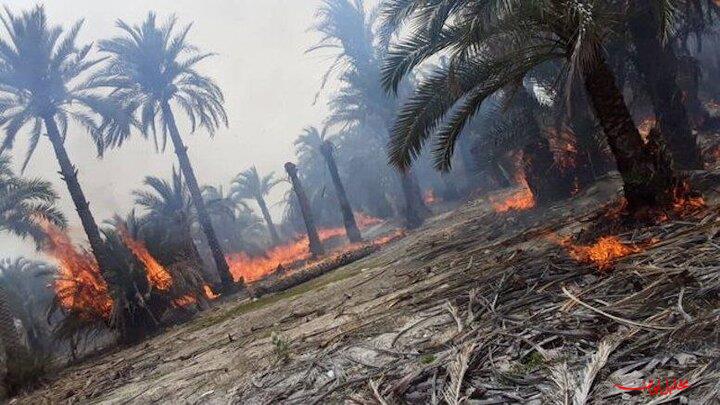  تحلیل ایران -خشکسالی خسارات آتش‌سوزی نخلستان‌های اروندکنار را تشدید کرد