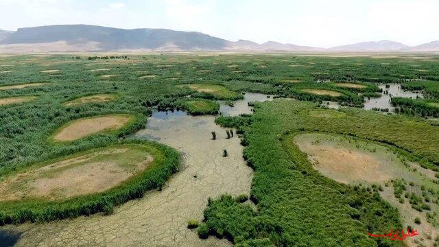  تحلیل ایران -وقتی تالاب‌ها بی‌صدا عقب‌نشینی می‌کنند