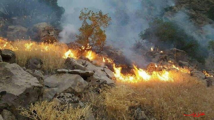  تحلیل ایران -مهار کامل آتش‌سوزی در منطقه حفاظت‌شده شاهو و کوسالان