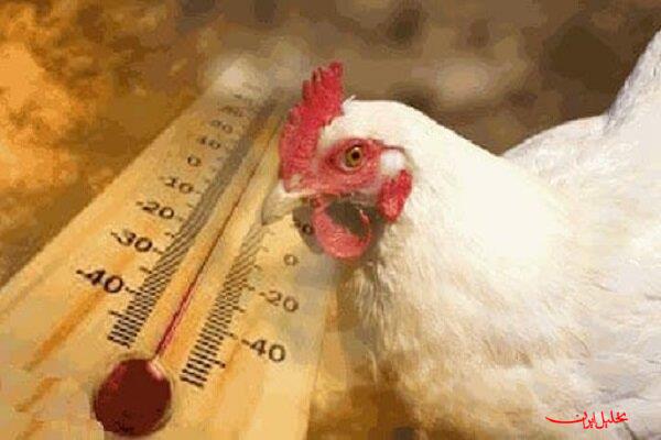 تحلیل ایران -روند افزایش دمای هوای آذربایجان شرقی مجددا شروع شده است