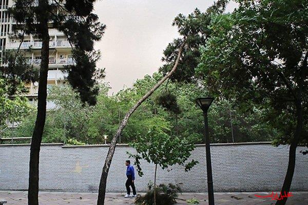  تحلیل ایران -وزش باد شدید و غبار محلی در مناطق جنوبی خراسان شمالی پیش‌بینی می‌شو