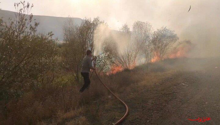  تحلیل ایران -آتش‌سوزی درختان در حوالی روستای «کوخالو» تیکمه‌داش مهار شد