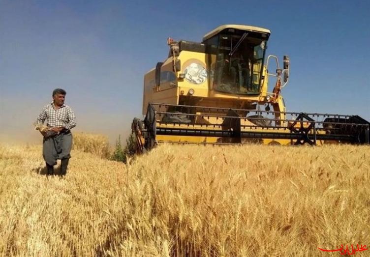  تحلیل ایران -وزیر جهاد کشاورزی پاسخگوی تأخیر در قیمت‌گذاری گندم باشد