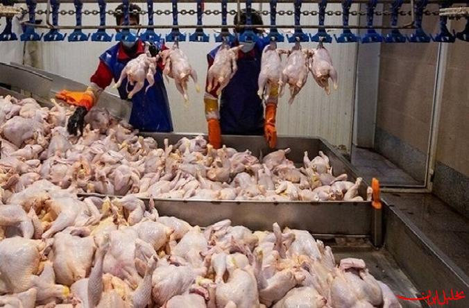  تحلیل ایران -جعفری: ۵۰۰ هزار کیلوگرم مرغ از مازندران روانه بازار تهران شد