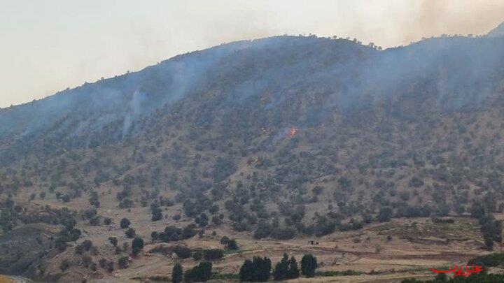  تحلیل ایران -آتش‌سوزی گسترده جنگل‌های کوه «لهور» معمولان را فرا گرفت