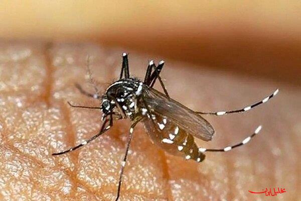  تحلیل ایران -احتمال ثبت مرگ‌ومیر با تب دنگی