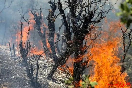  تحلیل ایران -اعزام ۲ هواپیمای ایلوشن ۴۰ تنی از مهرآباد به جنگل الیت