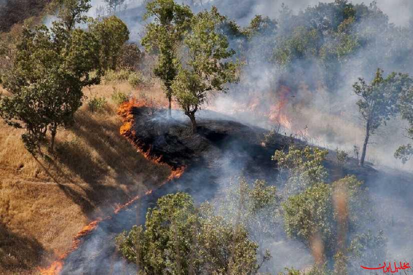  تحلیل ایران -سردار ساجدی‌نیا: آتش سوزی در الیت مهار شد