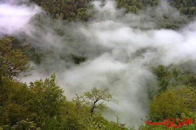  تحلیل ایران -خبر خوب آسمان برای جنگل الیت و تهرانی‌ها
