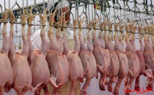 اعلام قیمت‌های نامتعارف گوشت مرغ صحت ندارد