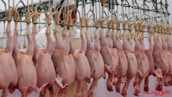  تحلیل ایران -توزیع گوشت گرم ارزان در میادین‌میوه‌و‌تره‌بار