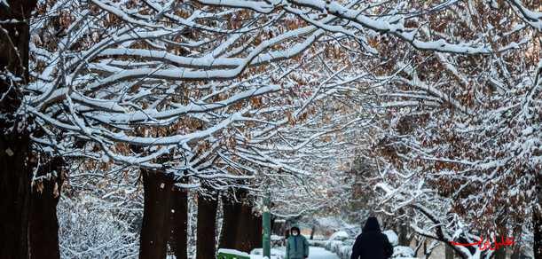  تحلیل ایران -برف و باران و یخبندان از امروز تا چهارشنبه ۲۸ استان را فرا می‌گیرد