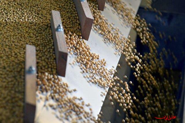  تحلیل ایران -ترامپ به دنبال فروش ۲۰ میلیون تن سویای آمریکایی به چین