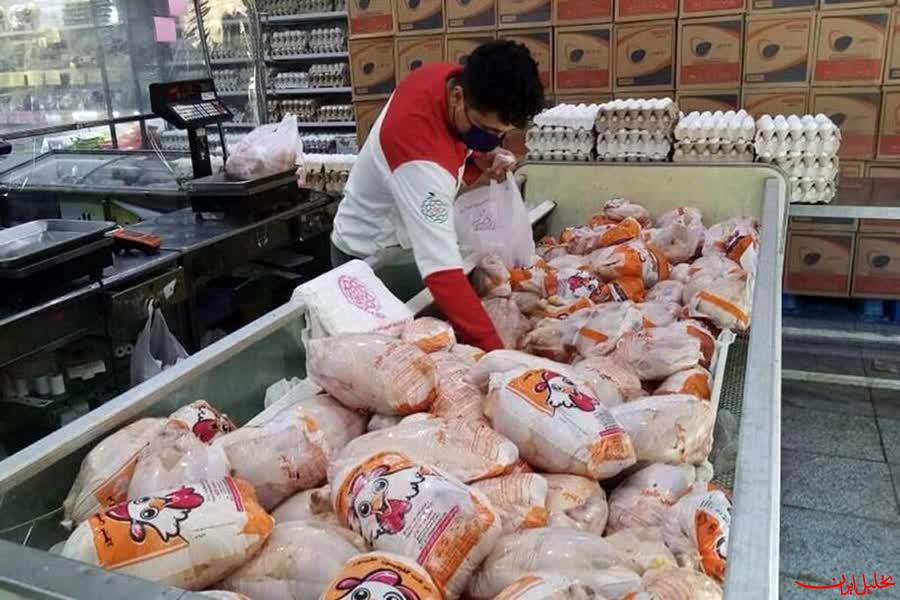  تحلیل ایران -عرضه مرغ تا هفته آینده متعادل می‌شود