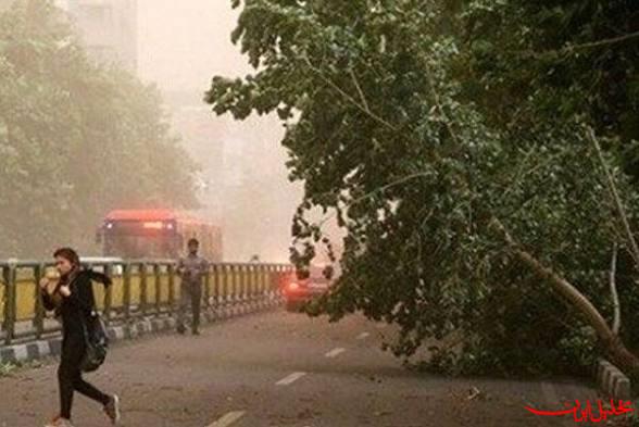  تحلیل ایران -شیشه‌فروش: اصفهان تا دوشنبه درگیر گرد و خاک است
