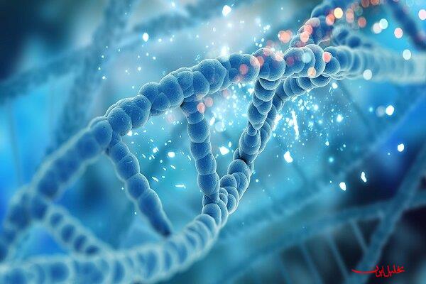  تحلیل ایران -ساخت رایانه‌ای مبتنی بر DNA