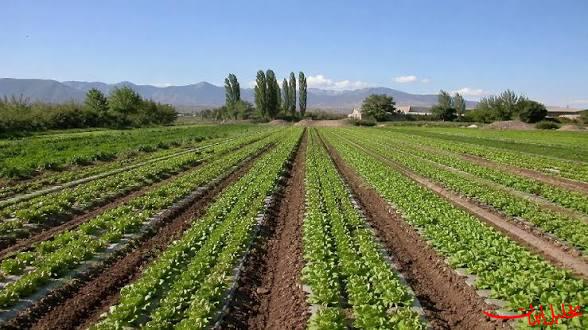  تحلیل ایران -صیانت از خاک؛ راهبرد خوزستان برای امنیت غذایی
